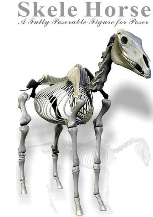 Skele Horse A Fully Poseable Figure for Poser