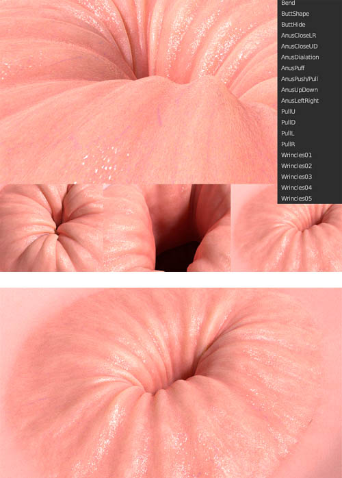 Anatomical Anus High Detail With Morphs