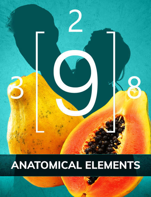Anatomical Elements Bundle (Genitals) for Genesis 2, 3, 8, 9