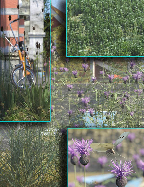 Wild FLowers Vol-2 Bundle