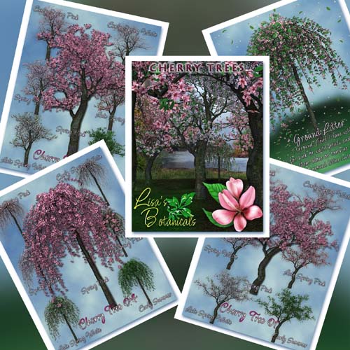 Lisa's Botanicals Cherry Trees