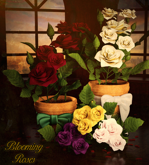 Mada Blooming Roses