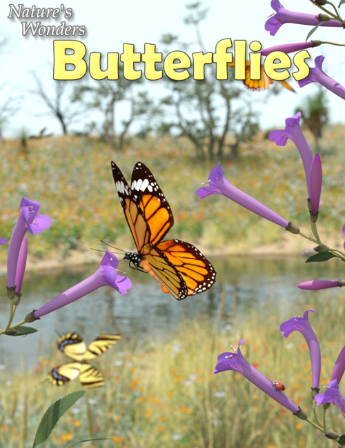Nature's Wonders Butterflies