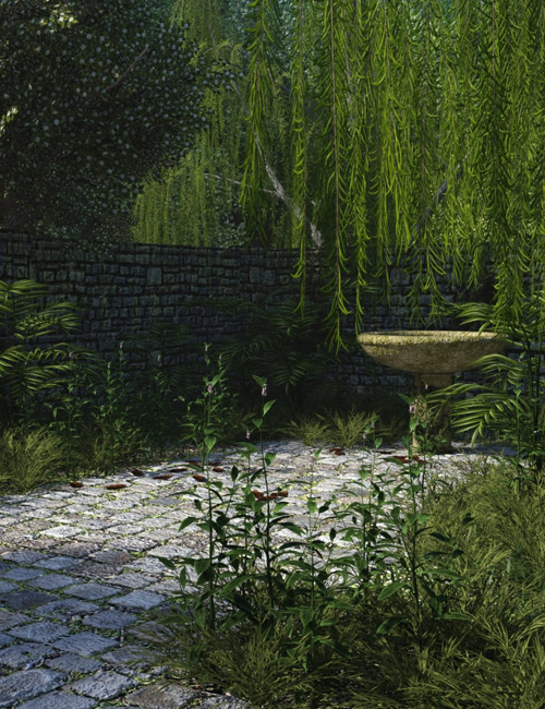  The Abandoned Garden 