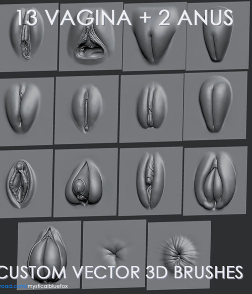 VAGINA12 +2ANUS