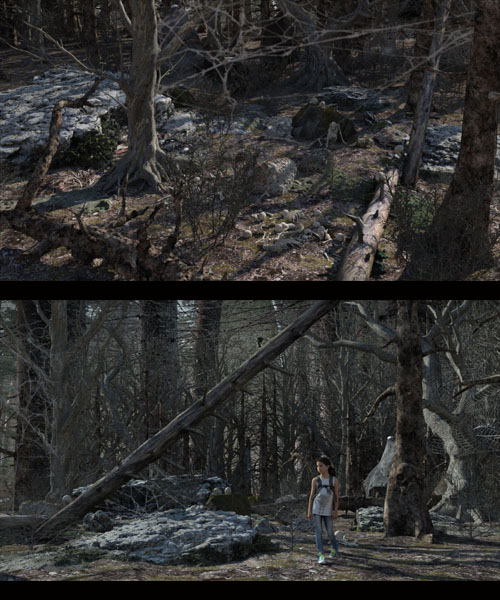 Cursed Forest for DAZ