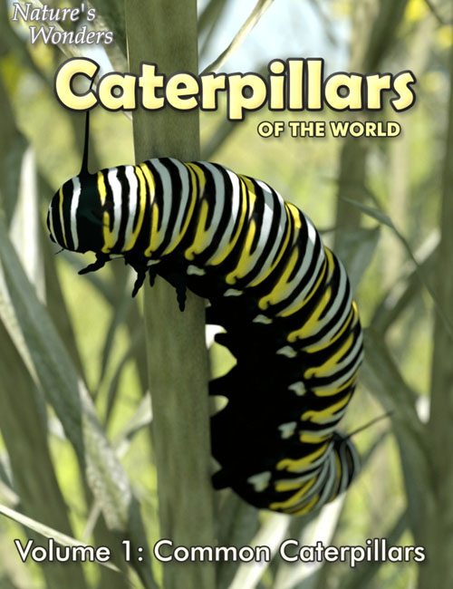 Nature's Wonders Caterpillars of the World Vol. 1