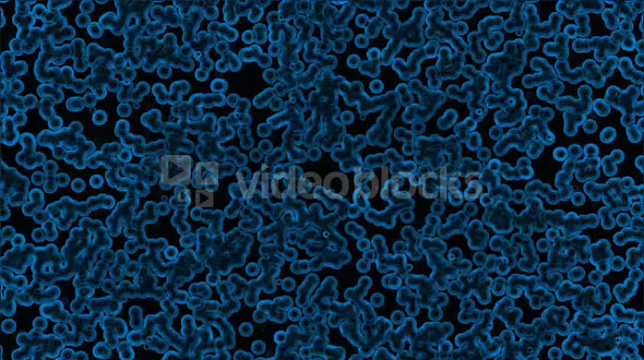 Bacteria Through Microscope