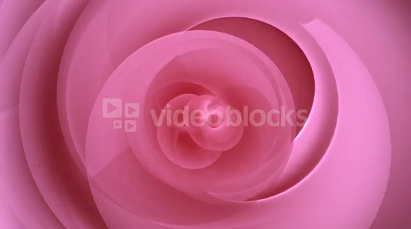 Rose Petal Spirals