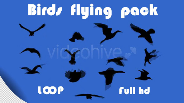 Birds Flying Pack 