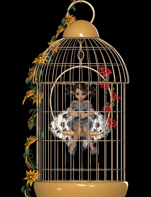 Fairy Cage
