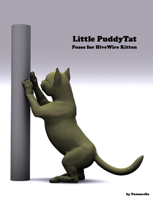 Little PuddyTat Poses for the HiveWire Kitten
