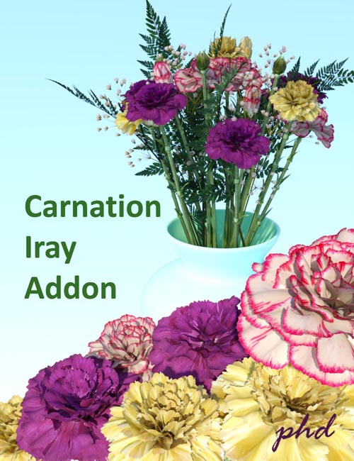 Carnation Iray Addon