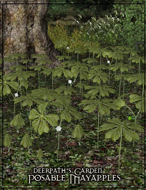 Deerpath's Garden - Posable Mayapples