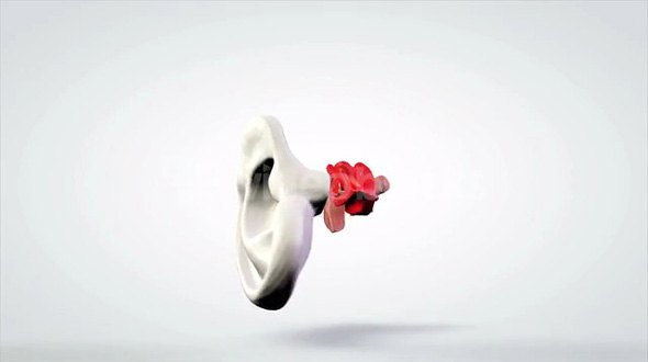 3D Animated Model Human Ear Auditory System