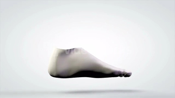Rotating 3D Anatomical Model of Human Foot