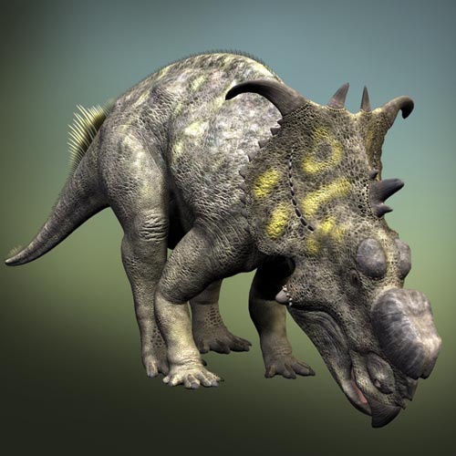 PachyrhinosaurusDR