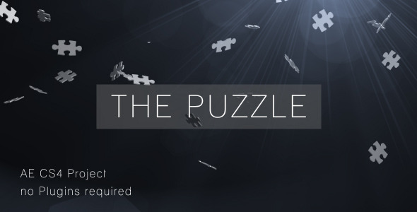 The Puzzle 