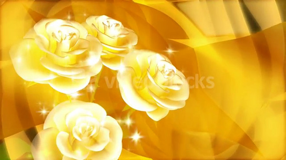 Shiny Yellow Rose