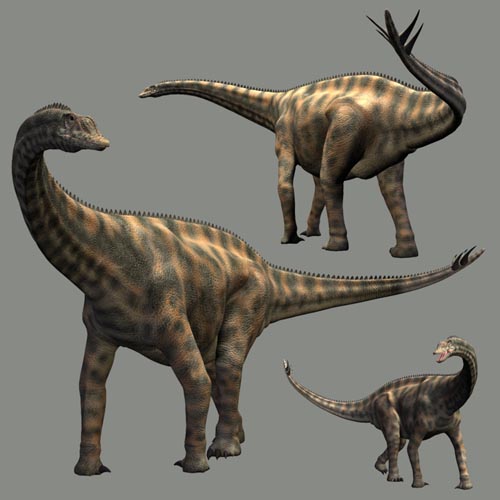 SpinophorosaurusDR