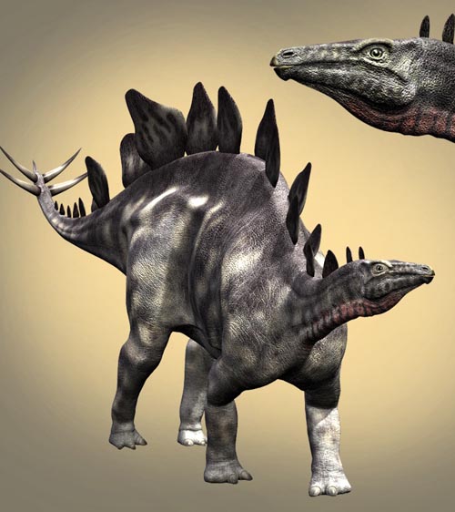 StegosaurusDR2