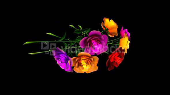 Spinning flower rose