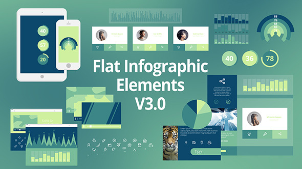 Flat Infographic Elements V3.0