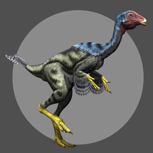 CaudipteryxDR