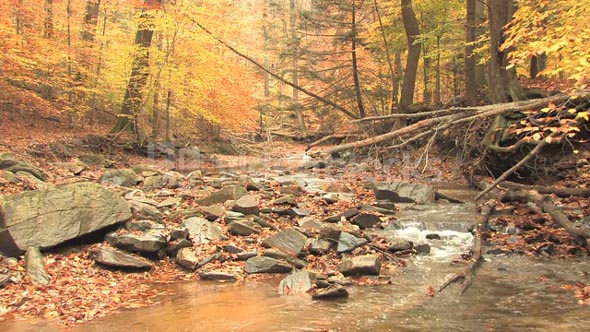 Rocky Creek in Autumn Woods 4