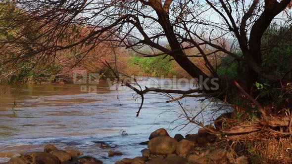 Jordan River in Israel 6