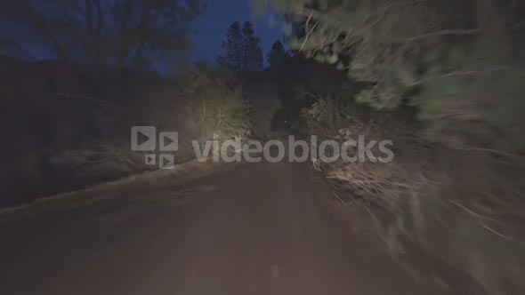 Dirt Road At Night
