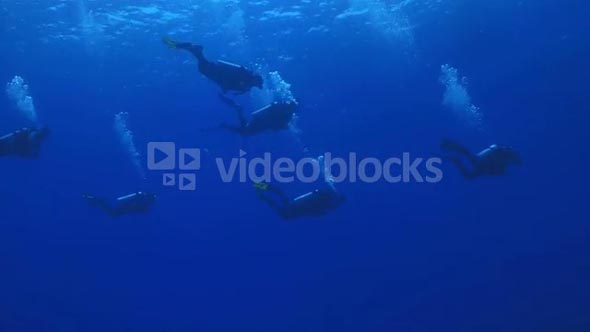 Group of Scuba Divers Swimming in Open Water
