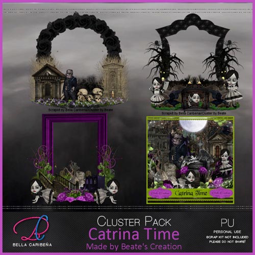 Catrina Time Cluster Frames 10 (TS_PU)