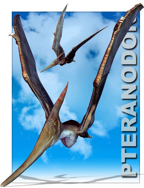 Pteranodon