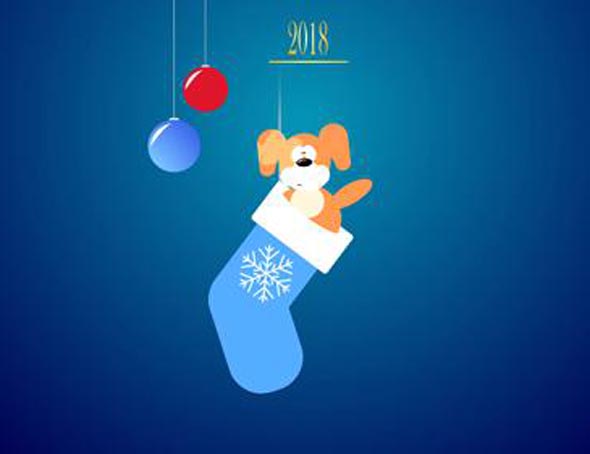  Christmas sock with a dog inside.beautiful Christmas balls.2018