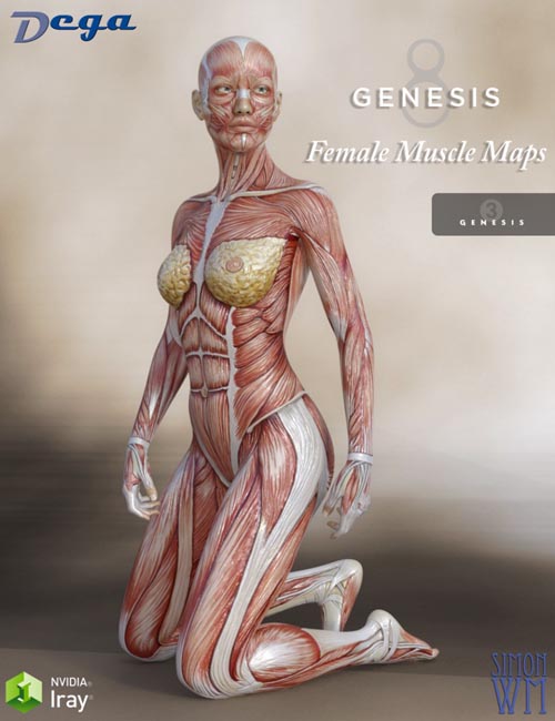 Muscle Maps for Genesis 3 and 8 Female