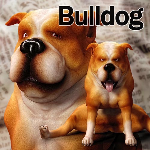 CL-Bulldog For Poser 8 Dog