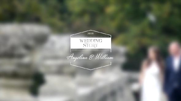 Wedding Titles Vol 4