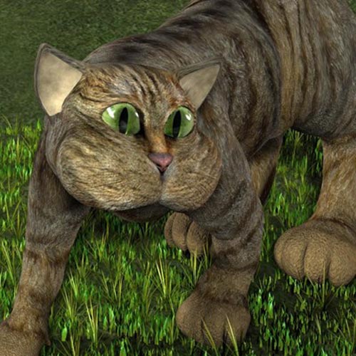 FuzzBallz for Cheshire Cat