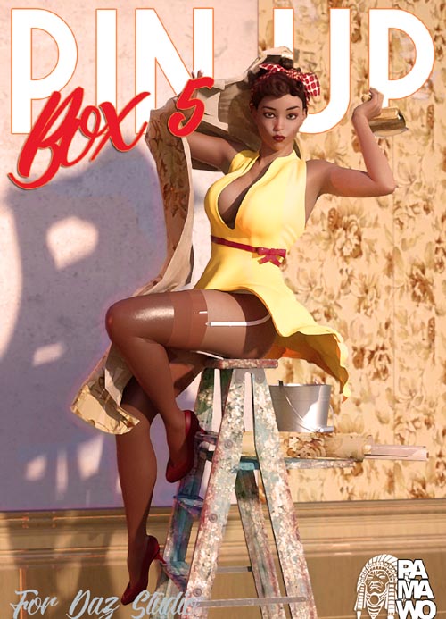 Pin Up Box 05 for DS