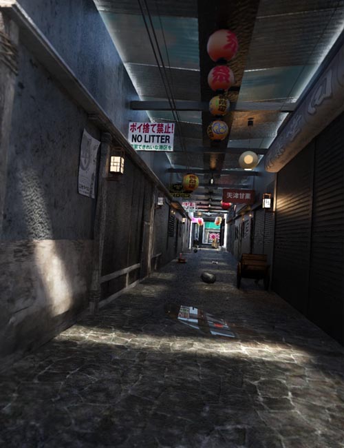 Japanese Store Alley