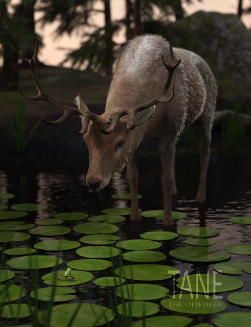Tane The Old Deer for Daz Horse 2