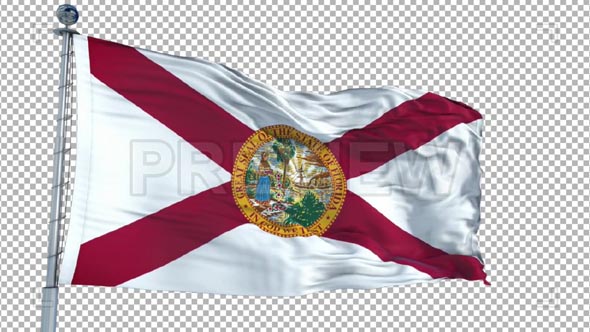Florida Flag Animation