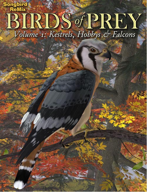 SBRM Birds of Prey Vol 1 - Kestrels, Hobbys & Falcons