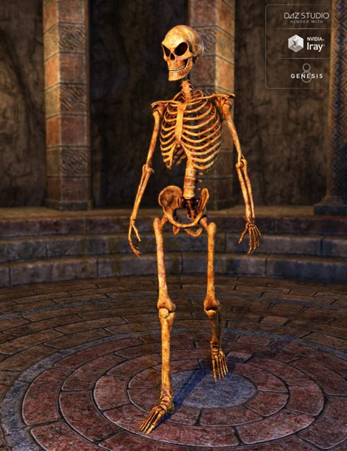 Midnight Skeleton for Genesis 8 Male
