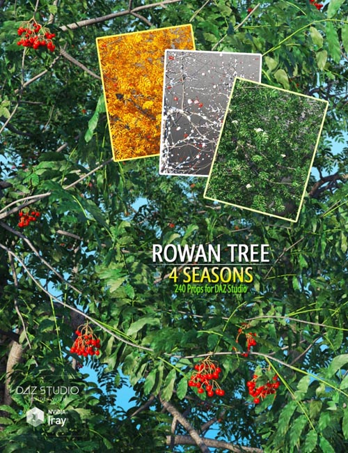 Rowan Tree