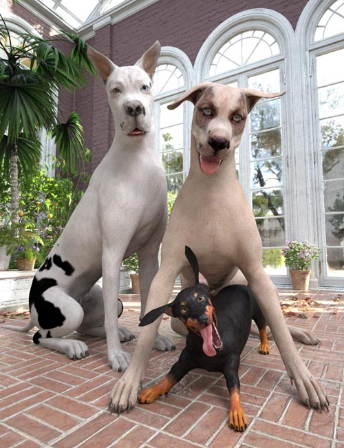 Three Amigos for Daz Dog 8