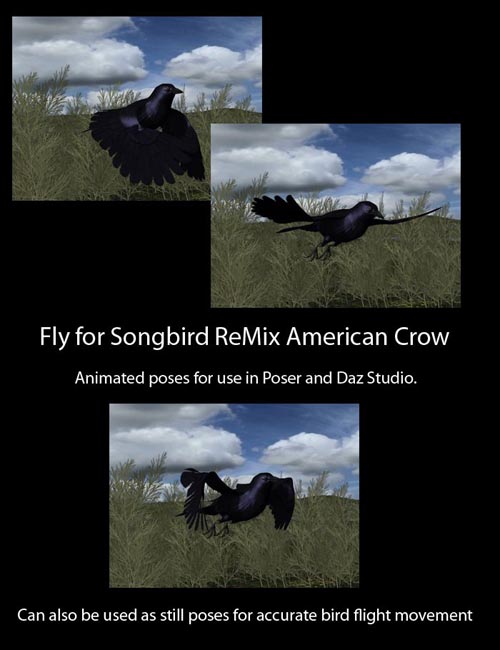 Fly for Songbird Remix American Crow