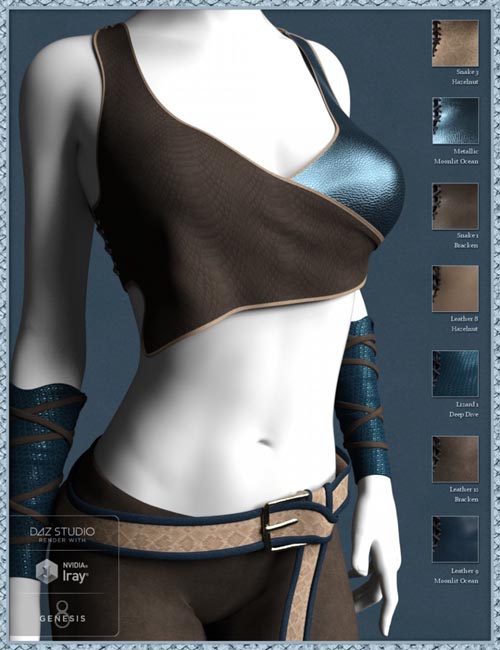 Leather Shader Presets 2 for Iray