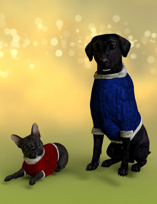 Christmas Suit for Daz Dog 8